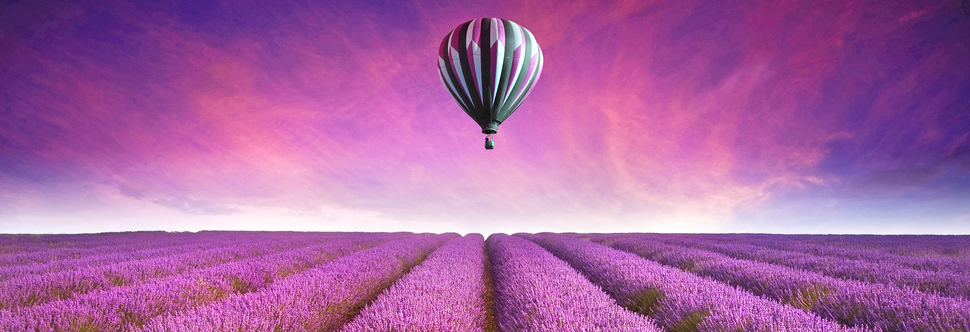 Heißluftballon über einem Lavendelfeld